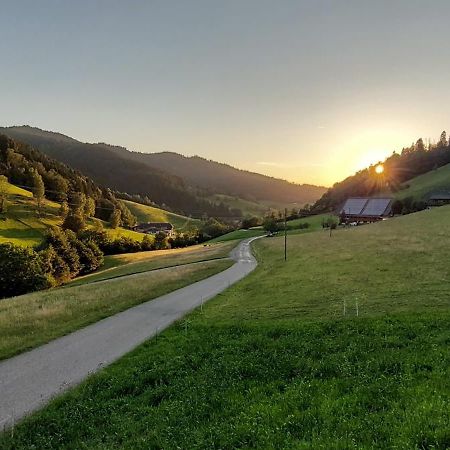 Irgendwo Im Schwarzwald Apartment Елзах Екстериор снимка