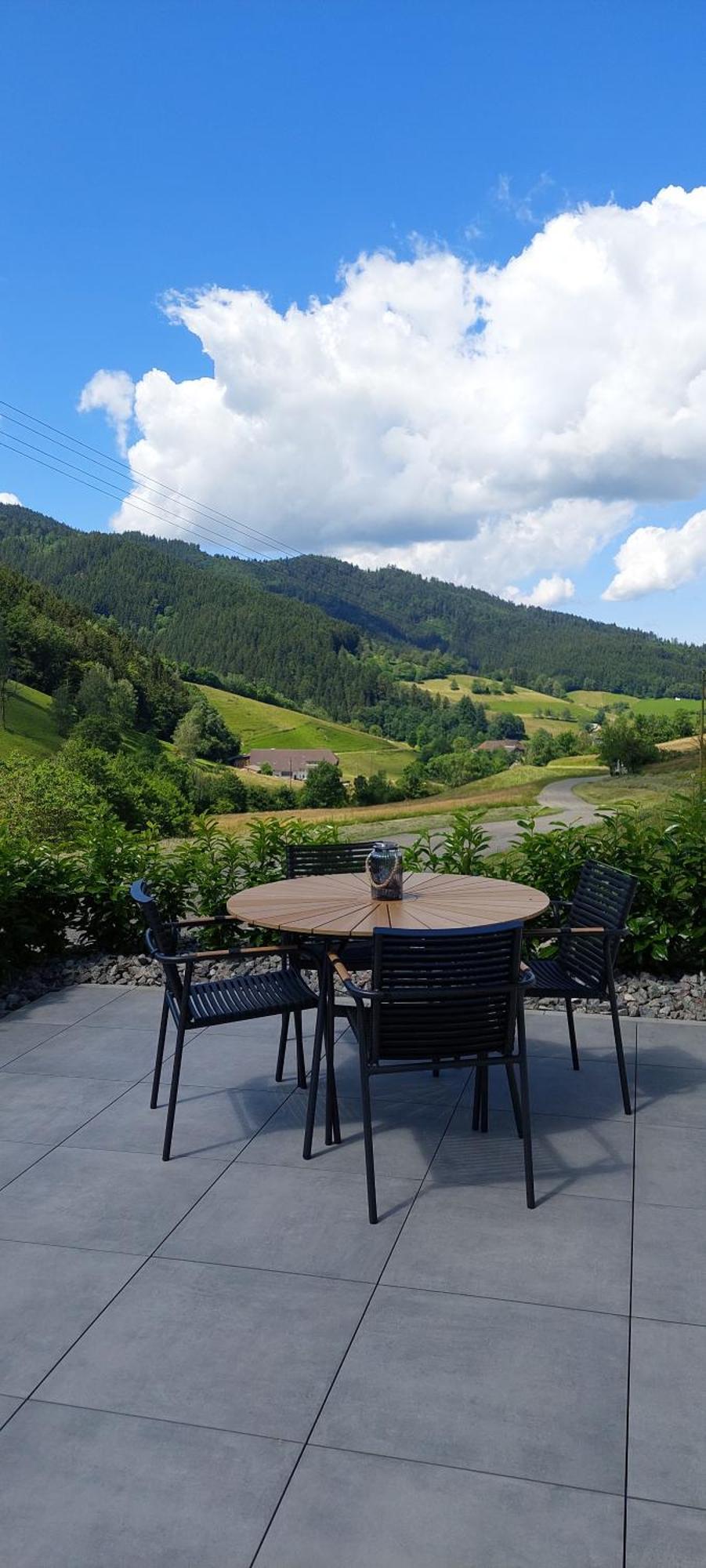 Irgendwo Im Schwarzwald Apartment Елзах Екстериор снимка